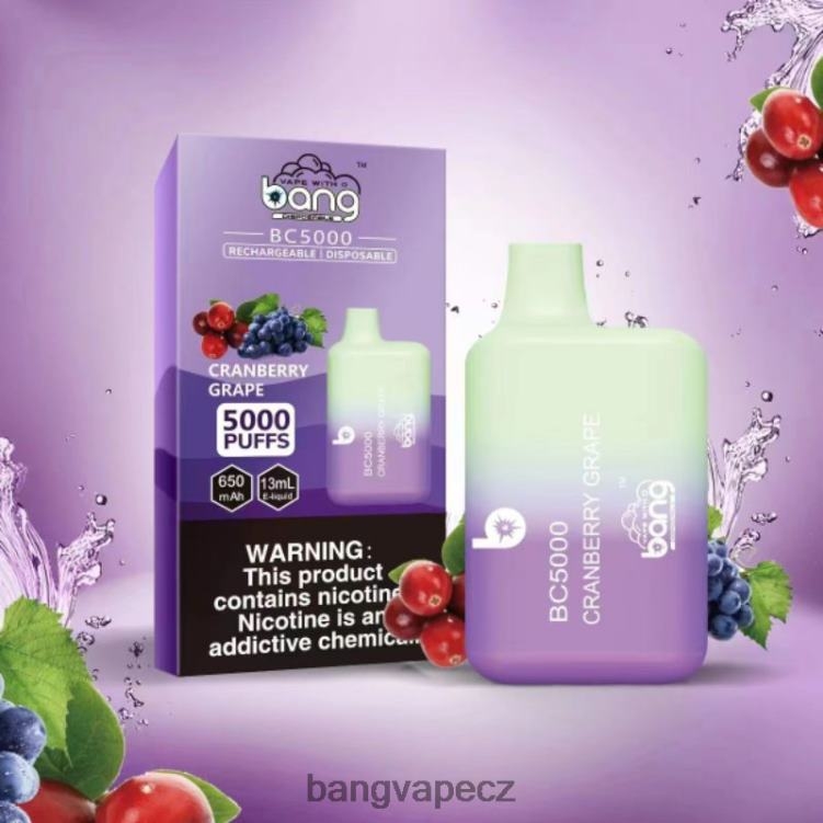 VNBN69 Bang Vape Box BC5000 5% nic 5000 šluků pero typu C dobíjecí jednorázový | Bang Disposable Vape Review