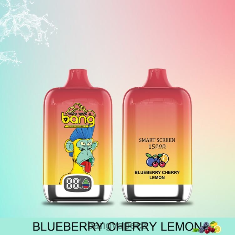 VNBN611 Bang Vape Digital Smart Screen 15000 šluků 25ml jednorázový | Bang Vape CZ