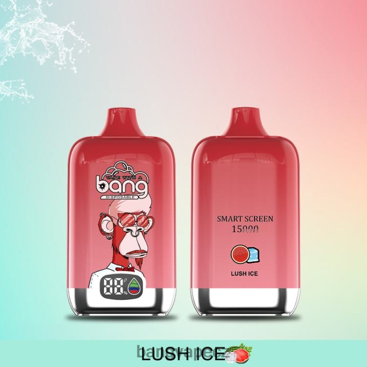 VNBN611 Bang Vape Digital Smart Screen 15000 šluků 25ml jednorázový | Bang Vape CZ