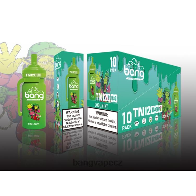 VNBN65 Bang Vape TN12000 pod se síťovou cívkou jednorázový | Vape Gang Disposables