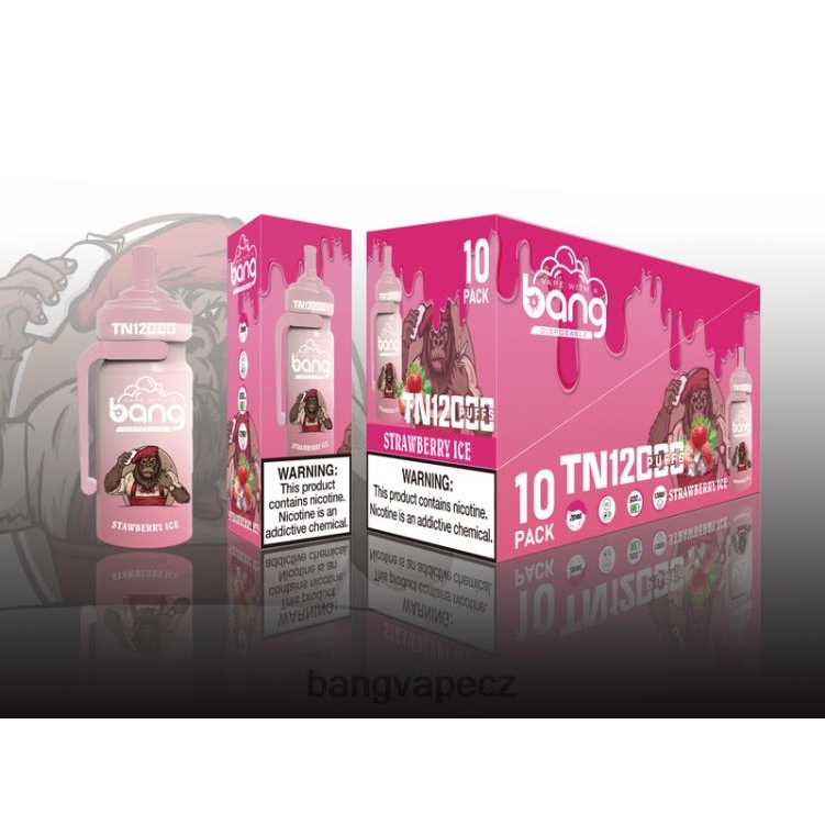 VNBN65 Bang Vape TN12000 pod se síťovou cívkou jednorázový | Vape Gang Disposables