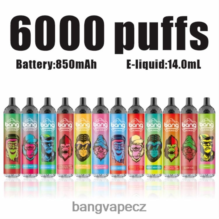 VNBN68 Bang Vape King 6000 šluků 5% nic nabíjecí typ-c jednorázový | Bang Box Vape Cena