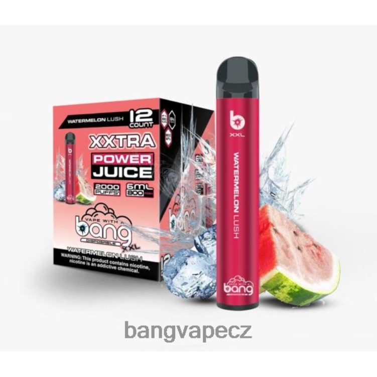 VNBN626 Bang Vape XXL 2000 potahů meloun svěží | Bang Disposable Vape Flavors