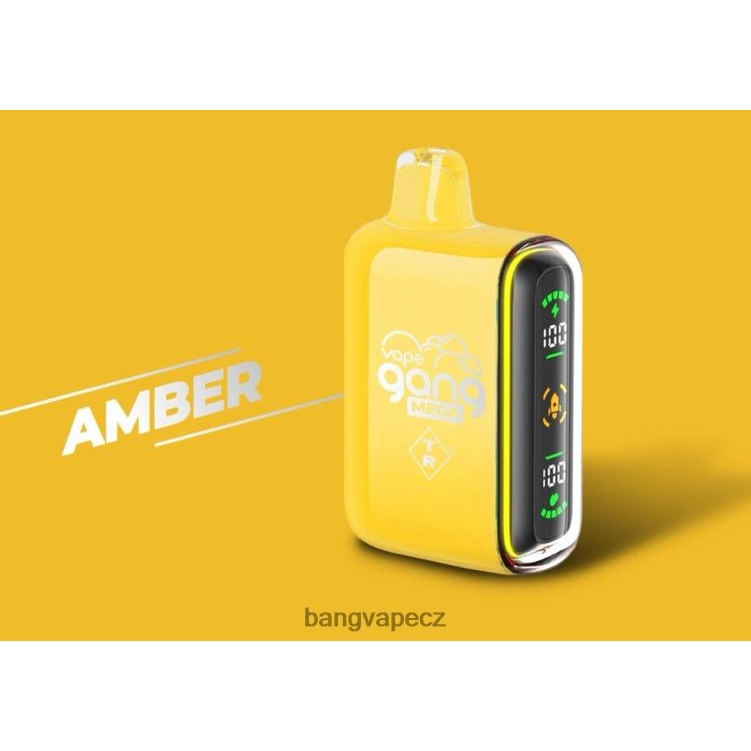 VNBN650 Vape Gang MEGA 20 000 šluků jednorázová vapka (krabička po 5) jantar | Bang Box Vape Flavors