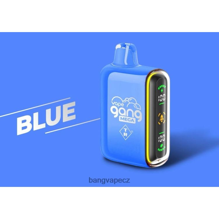 VNBN652 Vape Gang MEGA 20 000 šluků jednorázová vapka (krabička po 5) modrý | Bang Vape CZ