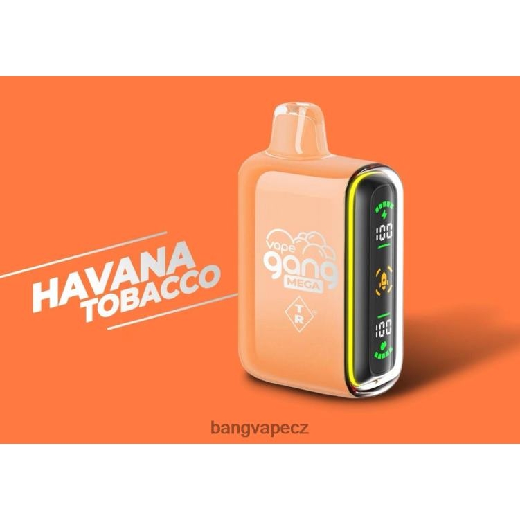 VNBN655 Vape Gang MEGA 20 000 šluků jednorázová vapka (krabička po 5) havanský tabák | Vape Gang Praha