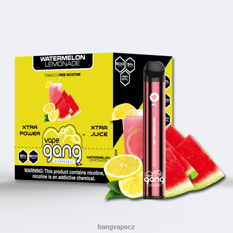 VNBN665 Vape Gang XL jednorázové vapky 600 vdechů (krabička po 10) melounová limonáda | Vape Gang Praha