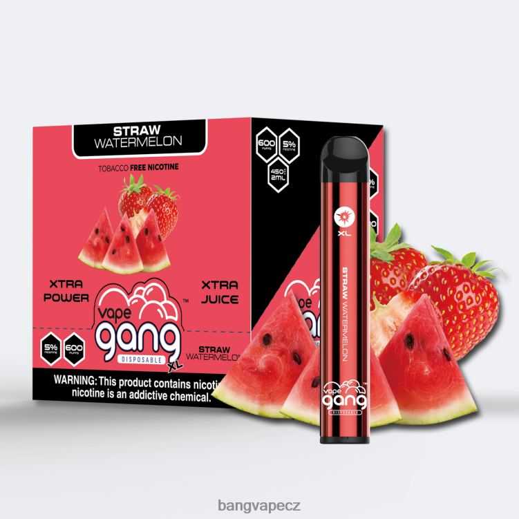 VNBN674 Vape Gang XL jednorázové vapky 600 vdechů (krabička po 10) slaměný meloun | Vape Gang CZ