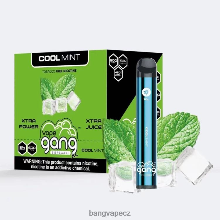 VNBN679 Vape Gang XL jednorázové vapky 600 vdechů (krabička po 10) chladná máta | Bang Vape Disposable